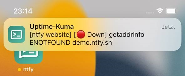 Uptime Kuma iOS Down