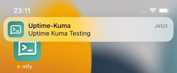 Uptime Kuma iOS Test